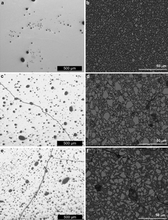 Mechanical Strength and Wear of Dental GlassIonomer and Resin Composites Affected by Porosity