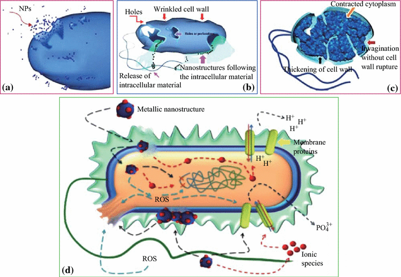 Review on Zinc Oxide Nanoparticles Antibacterial Activity and Toxicity