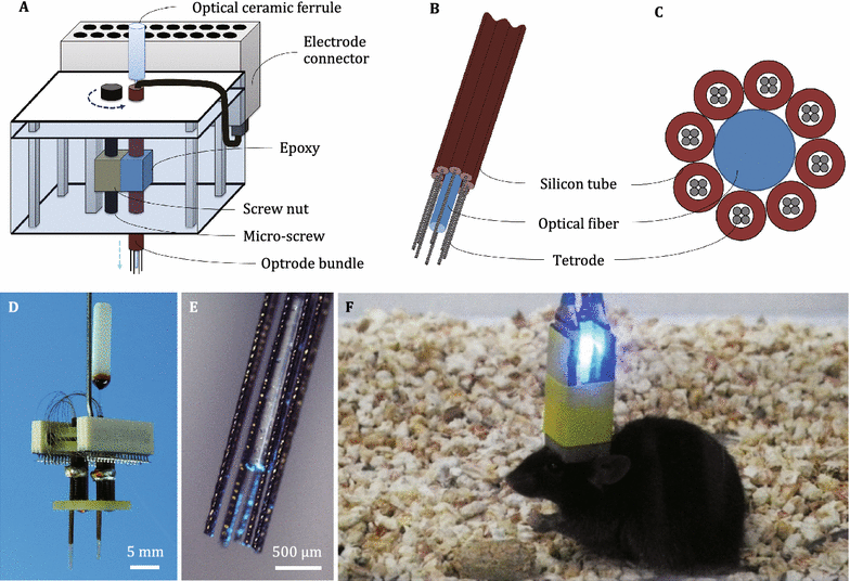 Fabrication and modification of implantable optrode arrays ... microdrive diagram 