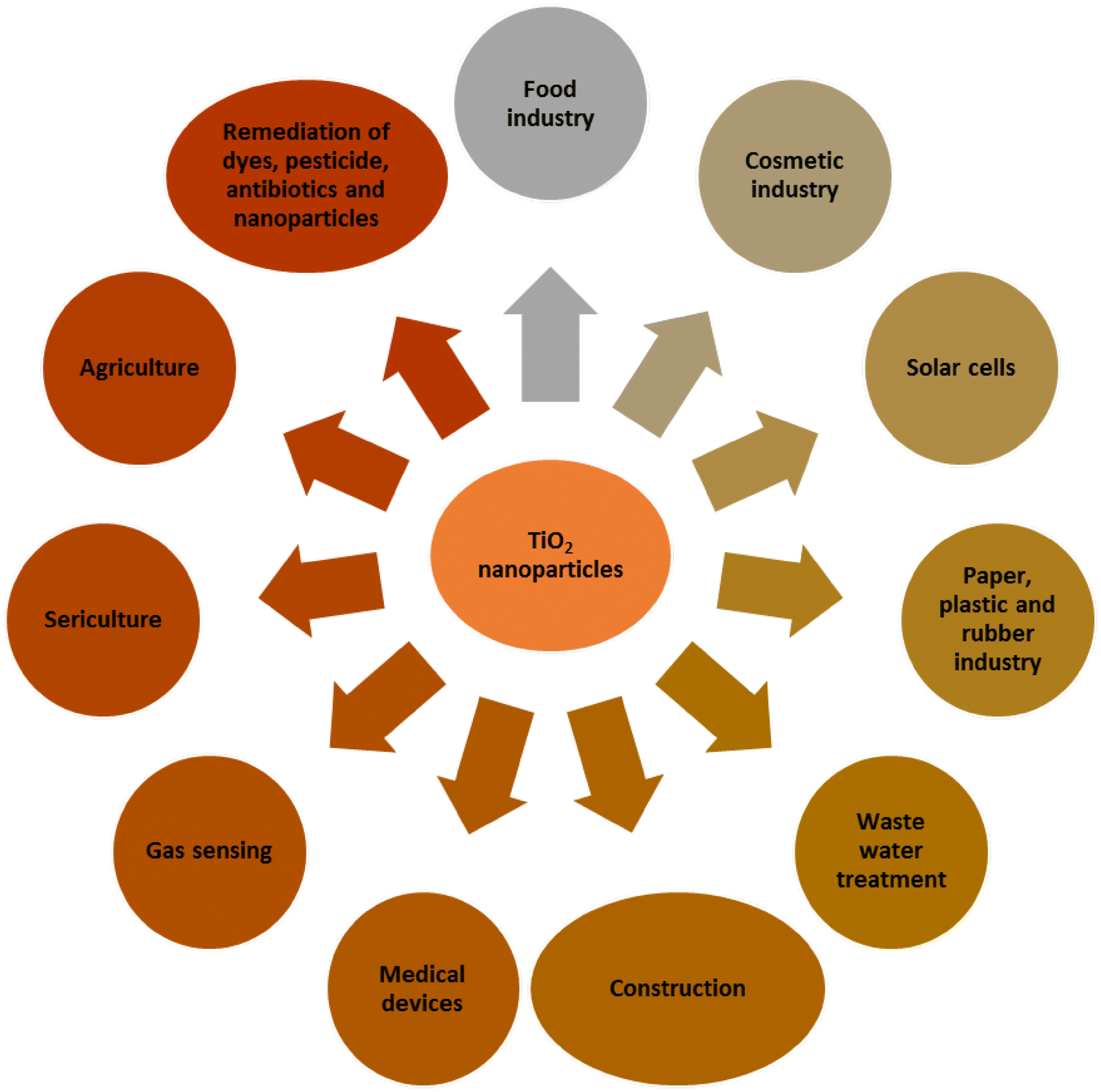 Studies on the titanium dioxide nanoparticles biosynthesis