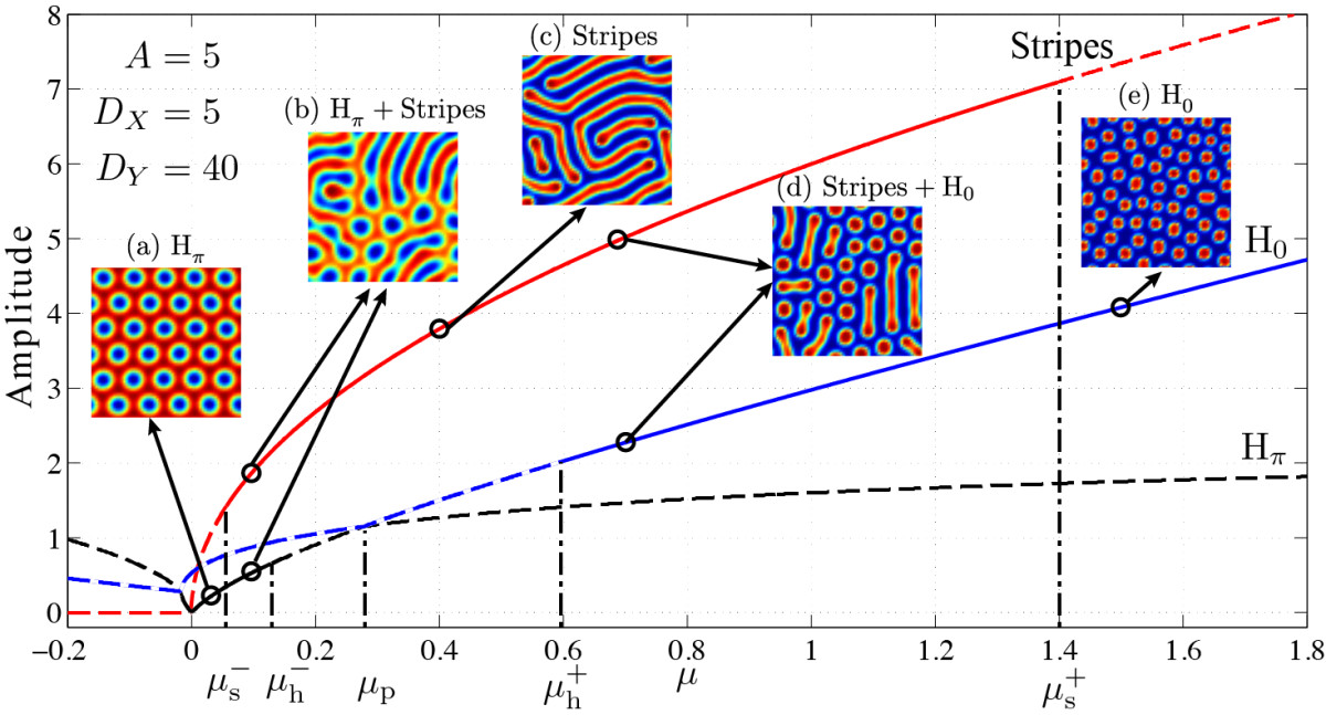 Reaction Diffusion Equation Matlab Code Tessshebaylo