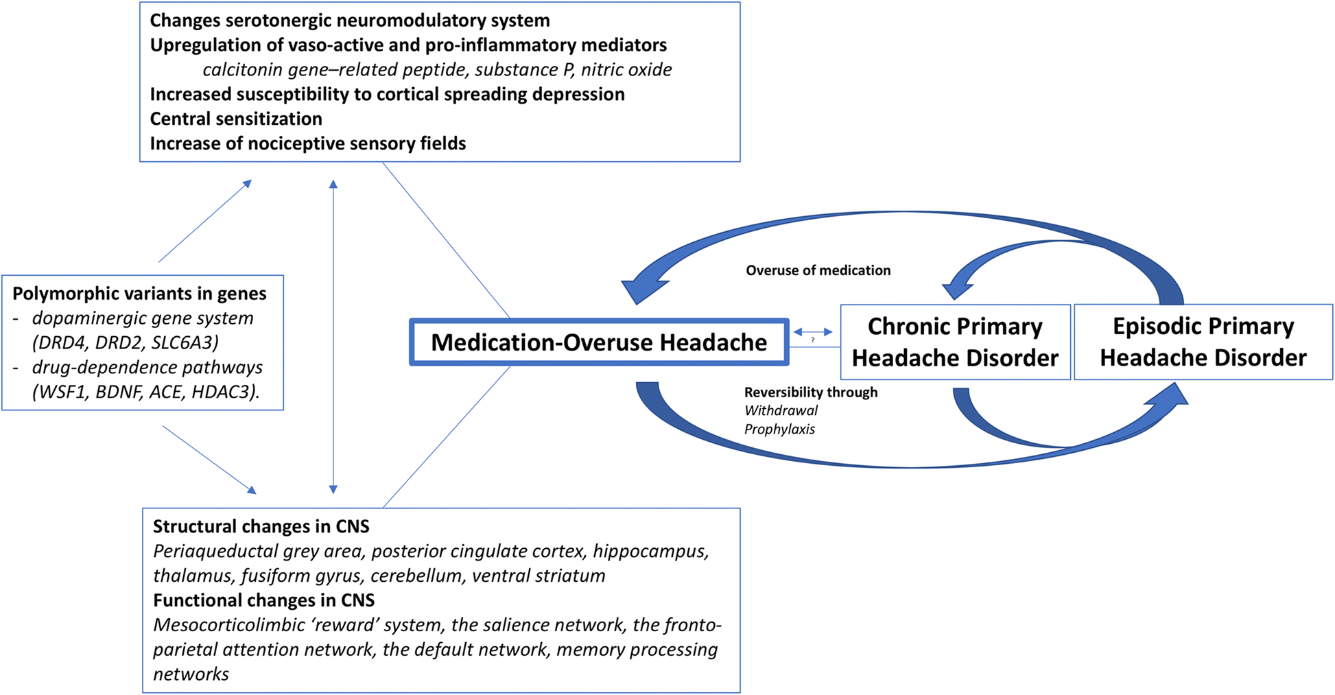 Emdocs Cases Headache Management In The Ed Emdocs Net