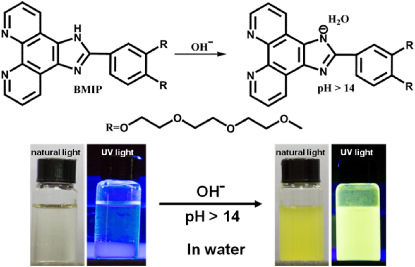 A PhenanthrolineBased Fluorescent Probe for Highly Selective Detection