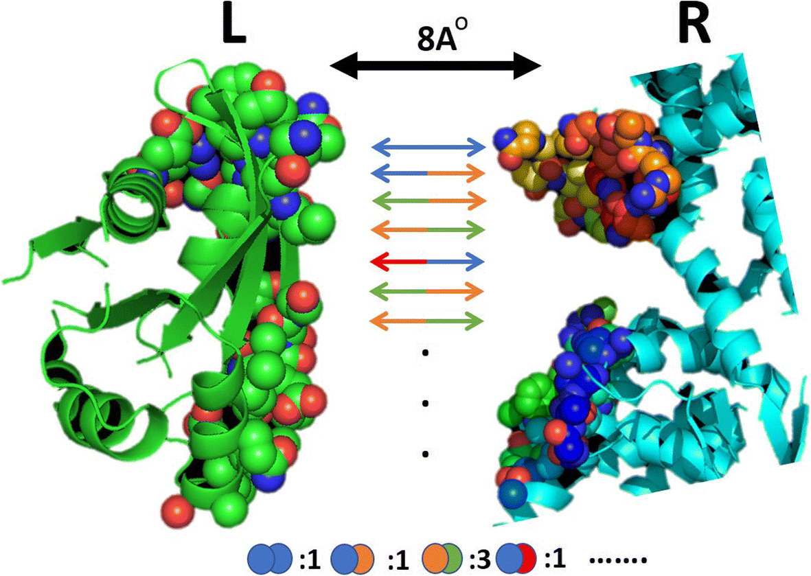 Learning protein binding affinity using privileged information
