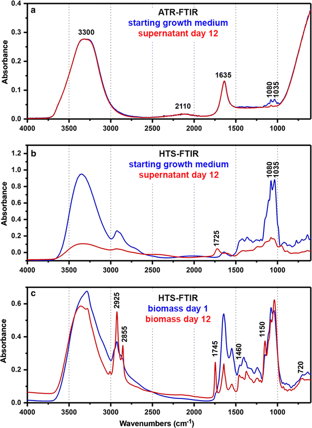 FTIR spectroscopy as a unified method for simultaneous analysis of