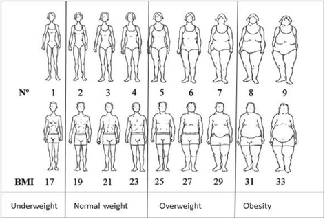 Body size perceptions and preferences favor overweight in adult ...