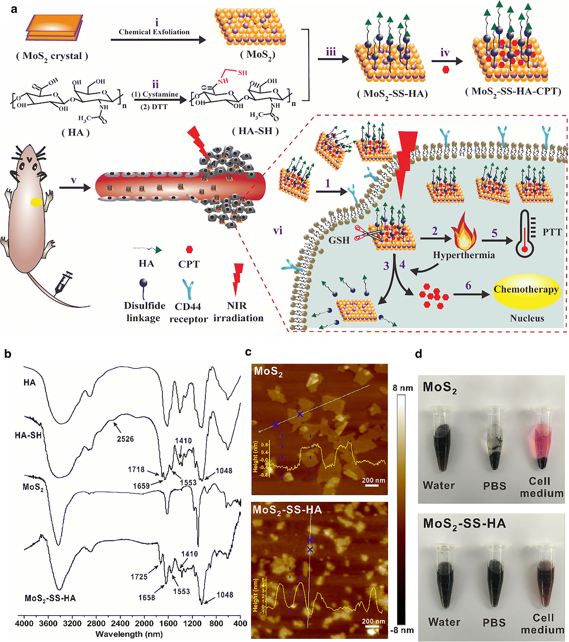 Redox/NIR Dual-responsive MoS2 For Synergetic Chemo-photothermal ...