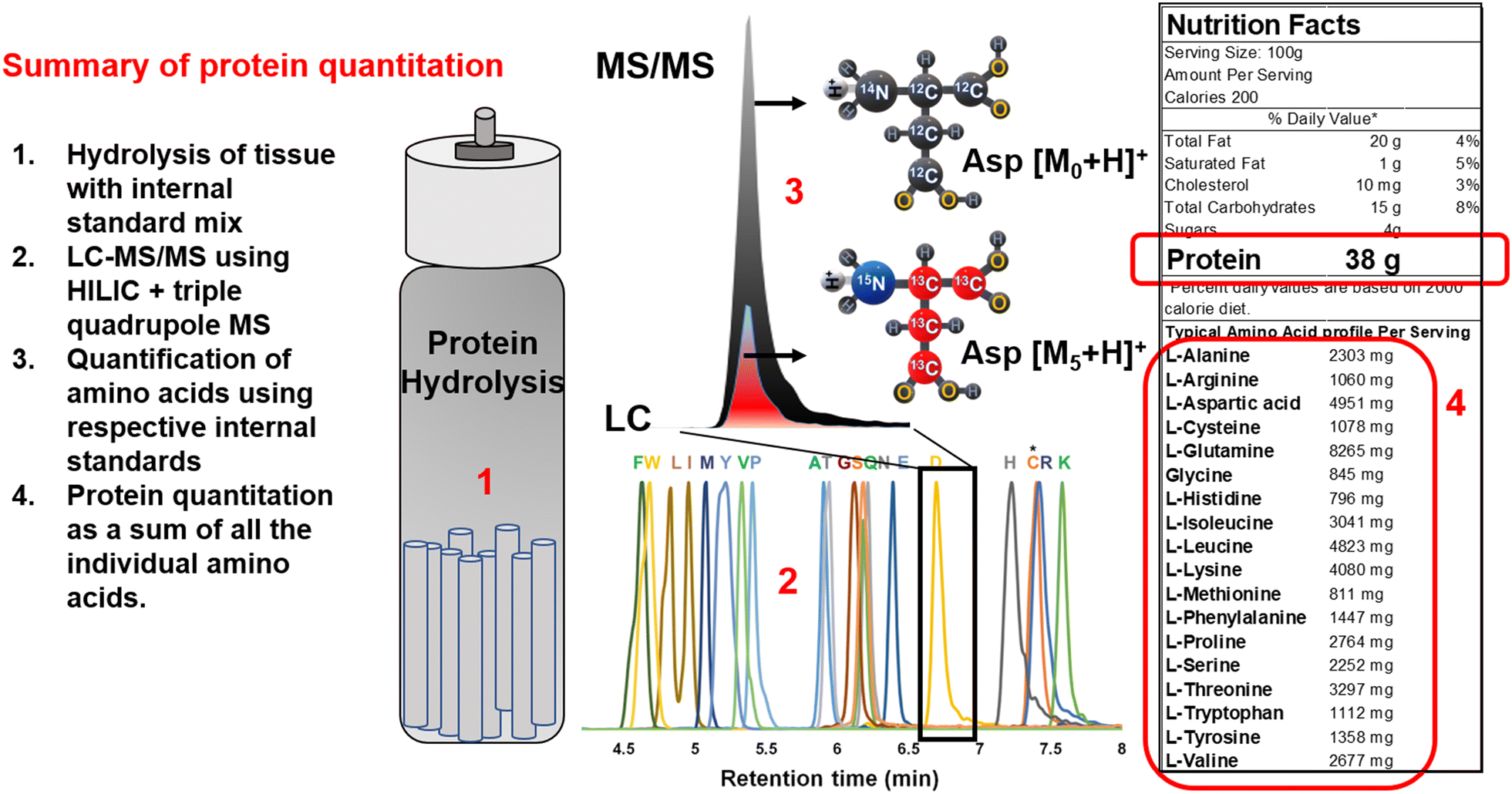 Accurate and efficient amino acid analysis for protein quantification using hydrophilic