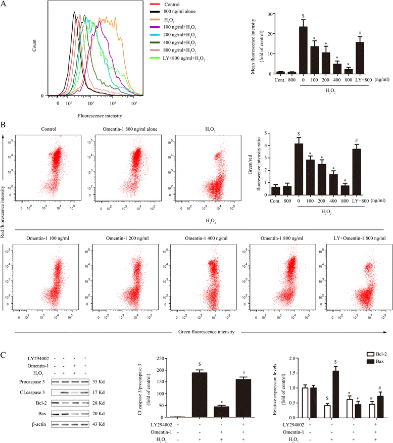 Omentin-1 effects on mesenchymal stem cells: proliferation, apoptosis ...