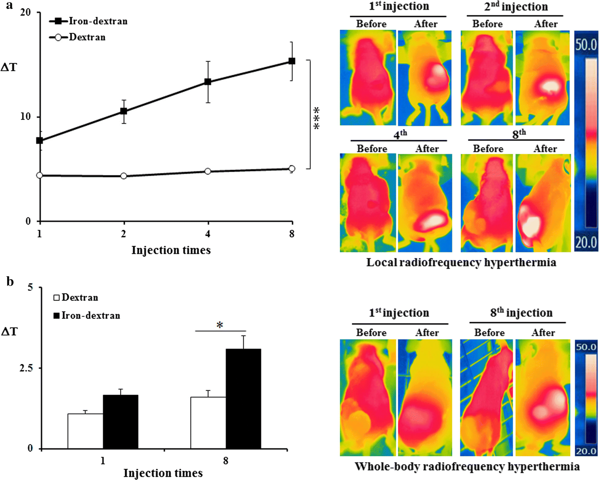 Irondextran as a thermosensitizer in radiofrequency hyperthermia for
