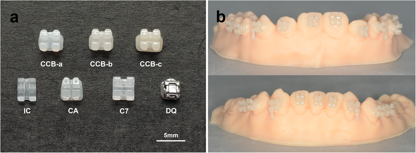 A novel customized ceramic bracket for esthetic orthodontics in vitro