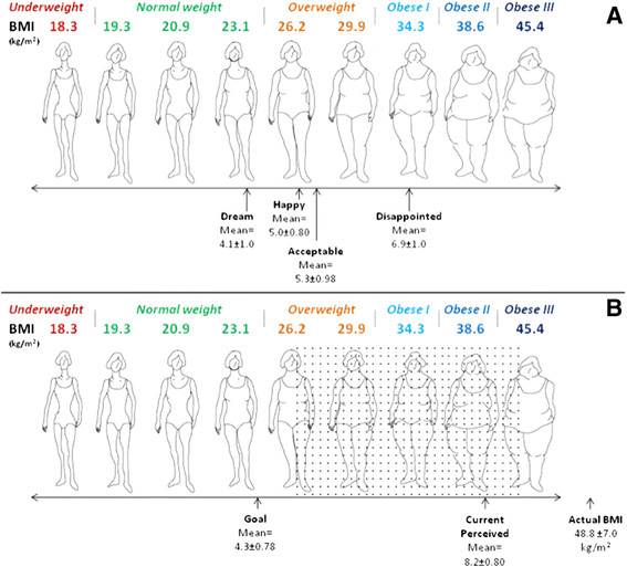 Body shape expectations and self-ideal body shape discrepancy in women ...