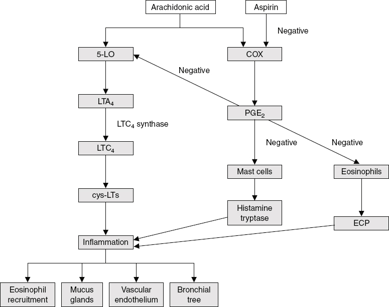 AspirinInduced Asthma SpringerLink