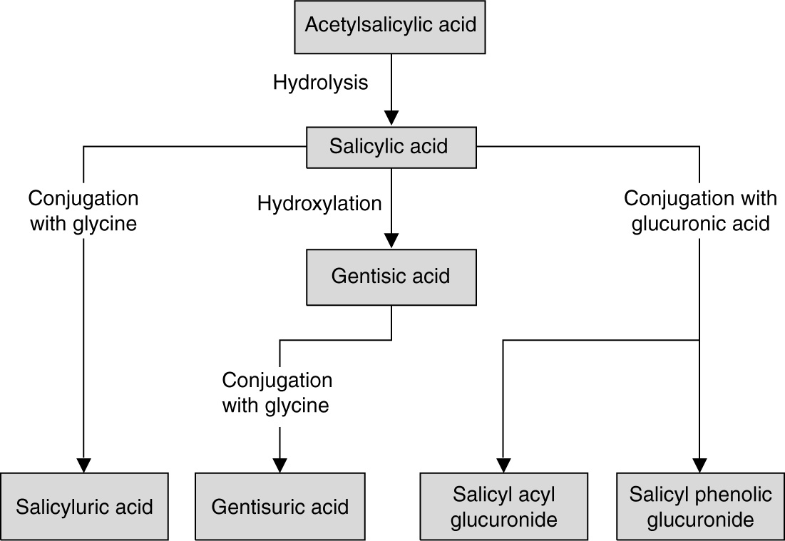 Does Urine Alkalinization Increase Salicylate Elimination? If so, Why