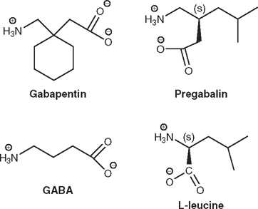gabapentin vs pregabalin structure