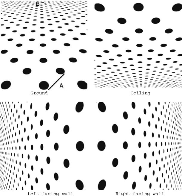 Anisotropic perception of slant from texture gradient: Size contrast