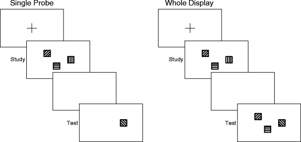 How to measure working memory capacity in the change detection paradigm ...