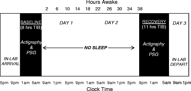 actimeter sleep actimeter sleep