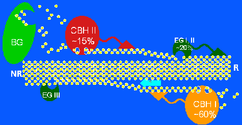 swallow shelter and associated sites 1980