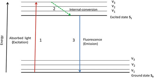 fluorescence spectroscopy