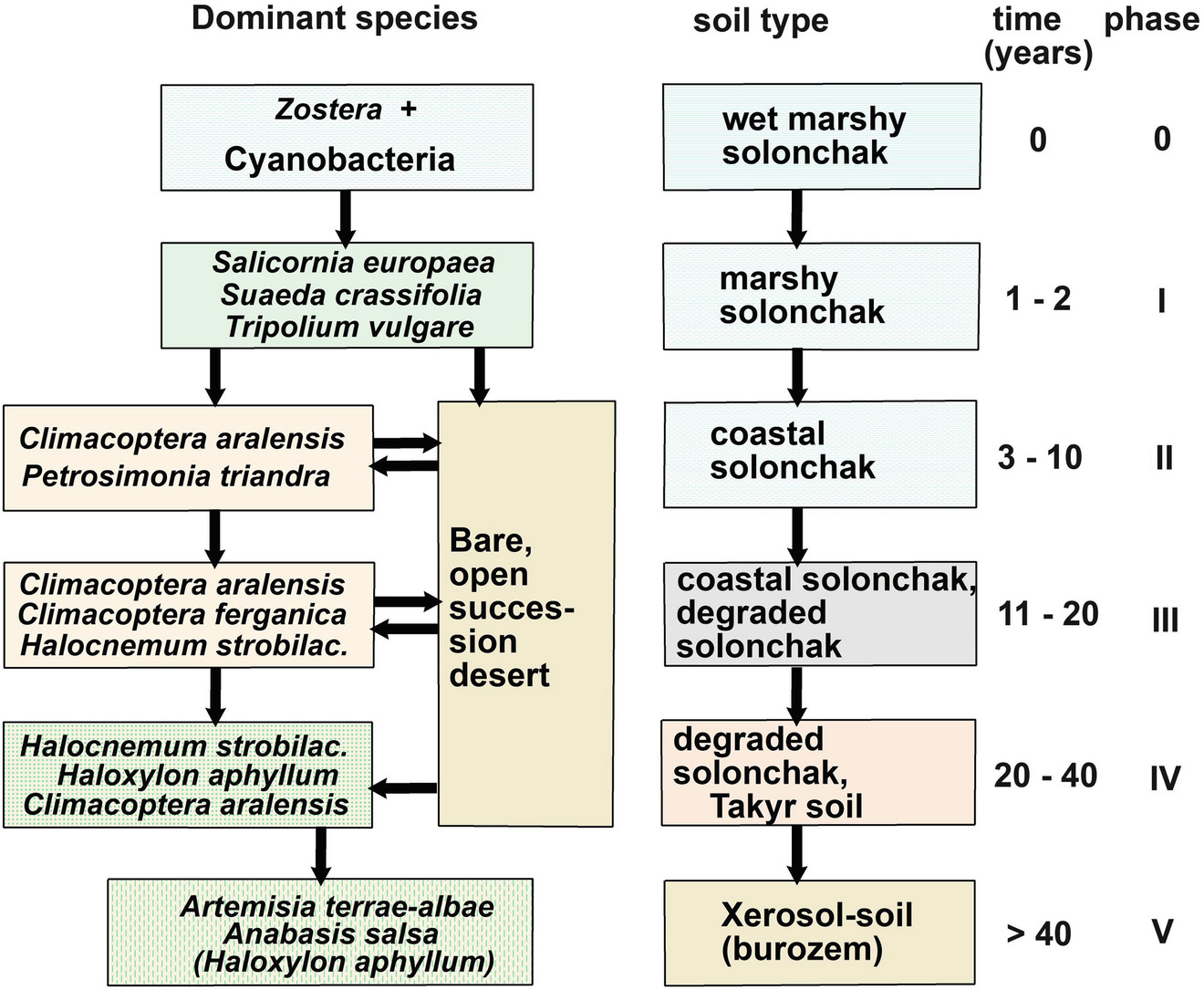 Vegetation Climate And Soil 50 Years Of Global Ecology - 