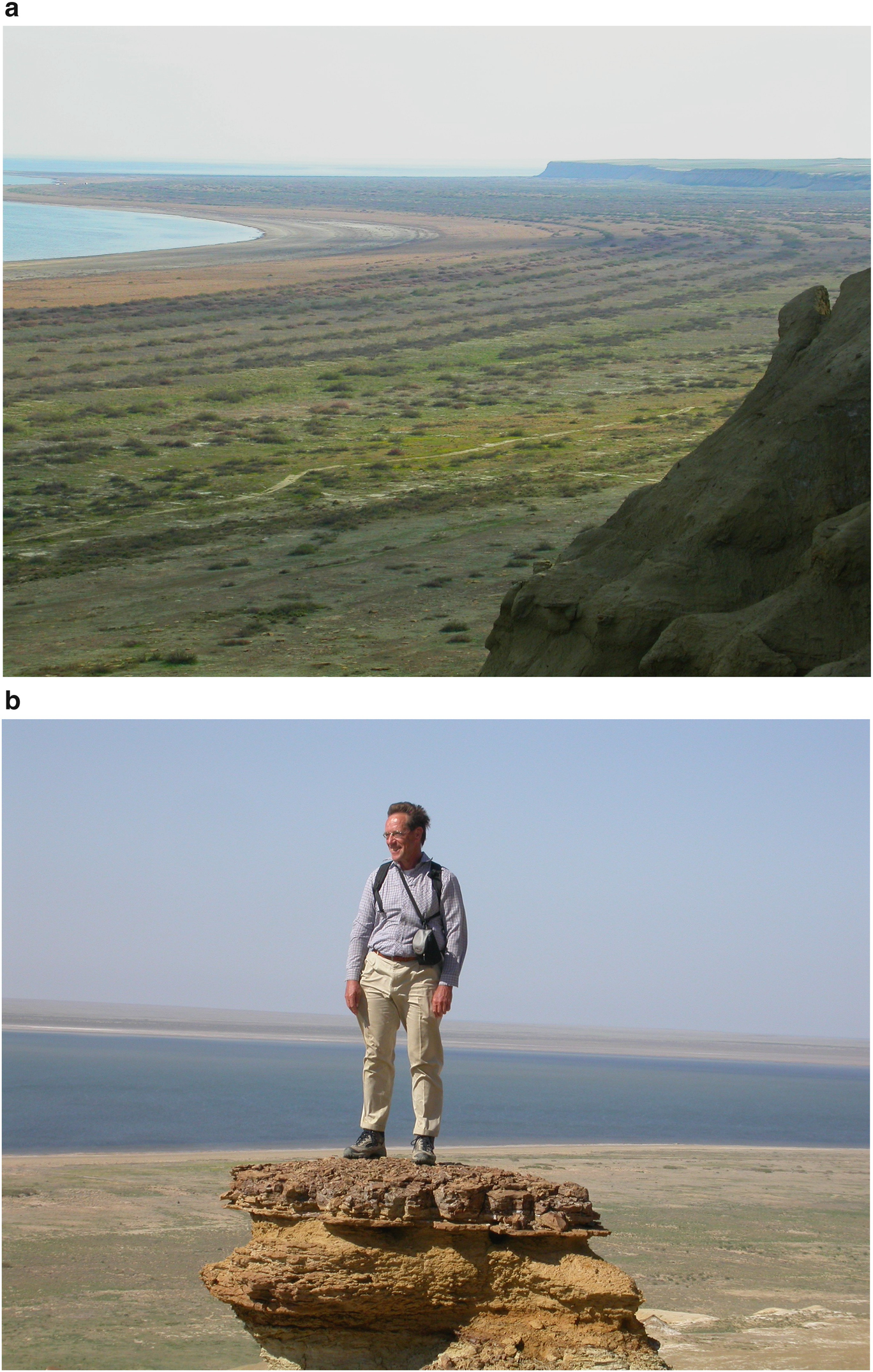 Vegetation, Climate And Soil: 50 Years Of Global Ecology | SpringerLink Vegetation, Climate And Soil: 50 Years Of Global Ecology | SpringerLink