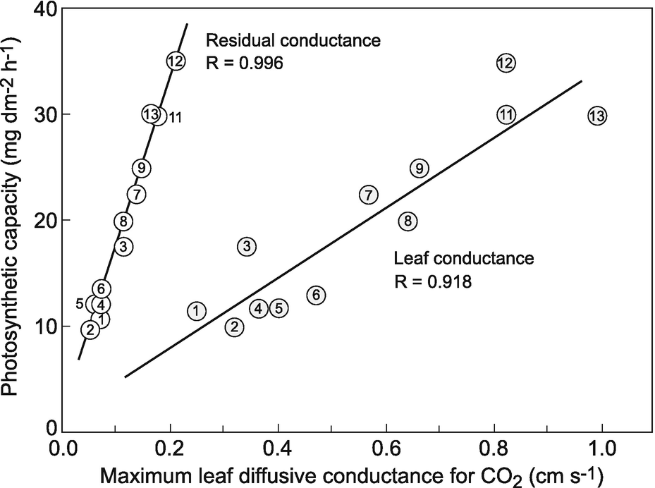 daisy co2 200 theory of operation