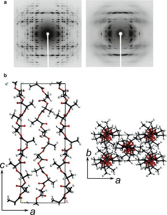 Crystal Polymorphism and Morphology of Polylactides SpringerLink