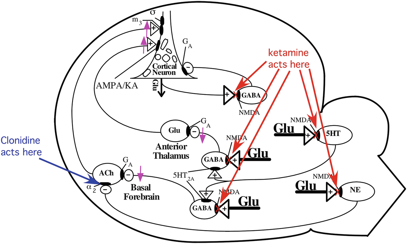 Nmda Antagonists For Treatment Resistant Depression Springerlink