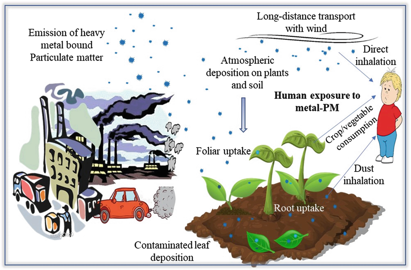 Ecotoxicology Of Heavy Metal Loid Enriched Particulate Matter Foliar Accumulation By Plants And Health Impacts Springerlink