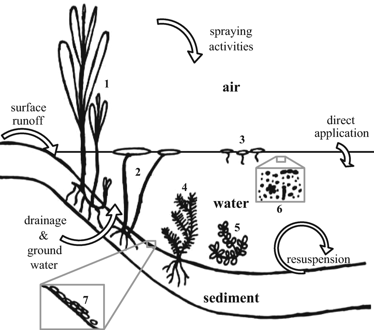 Herbicide Exposure And Toxicity To Aquatic Primary Producers Springerlink Herbicide Exposure And Toxicity To Aquatic Primary Producers Springerlink