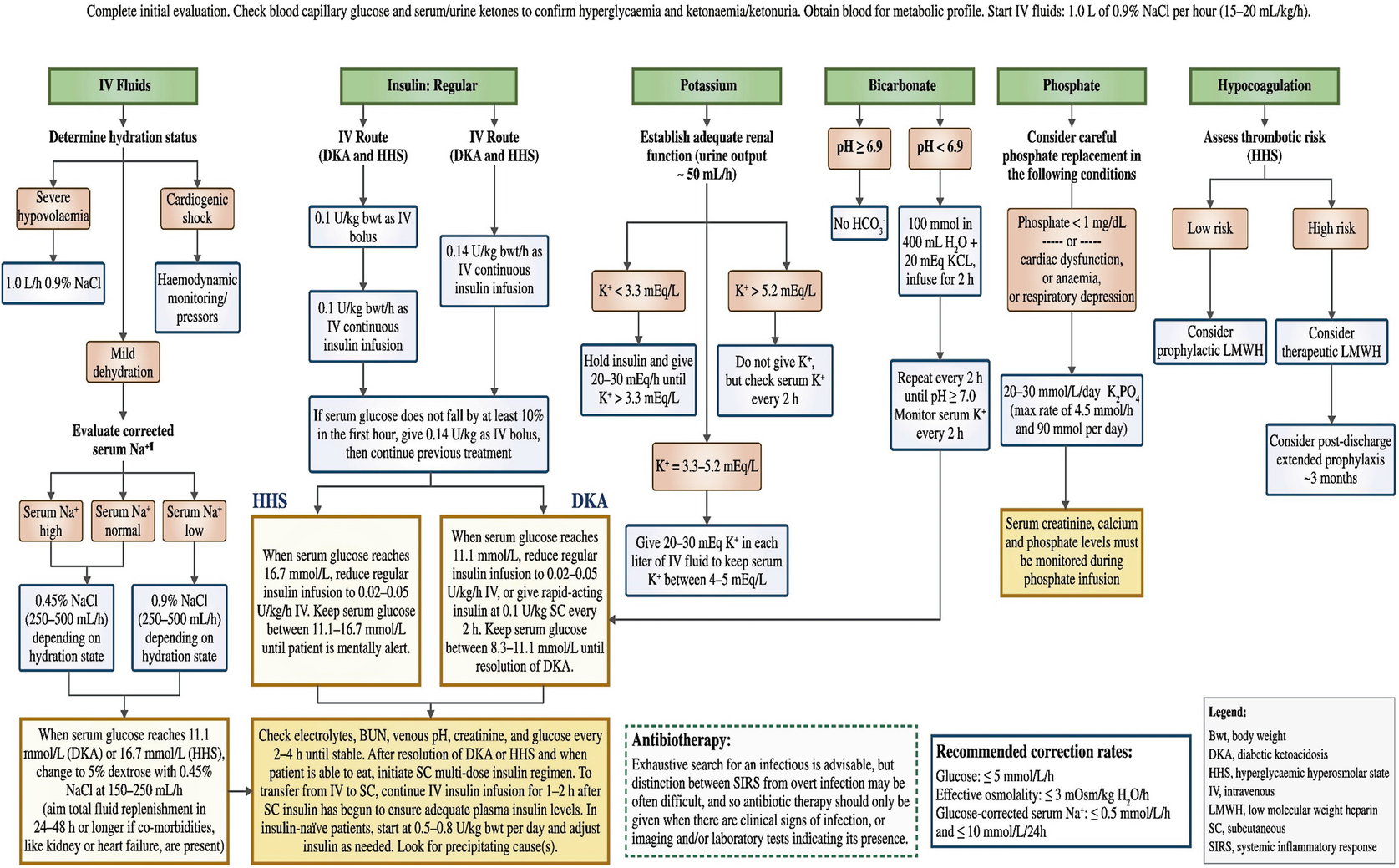 diabetic coma guidelines