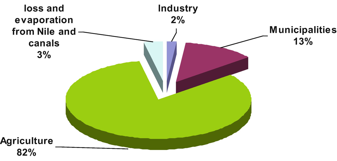 Key Features of the Egypt’s Water and Agricultural Resources SpringerLink