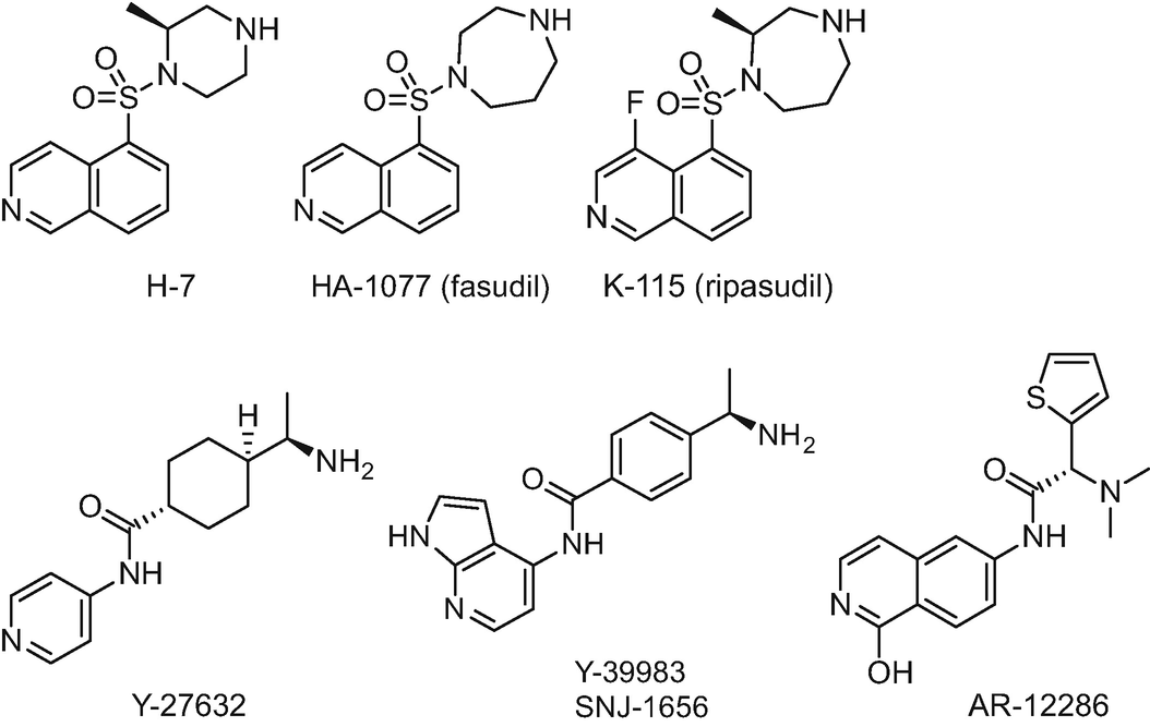 Recent Developments For The Treatment Of Glaucoma Springerlink