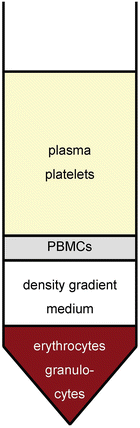 Peripheral Blood Mononuclear Cells Isolation Freezing Thawing And Culture Springerlink