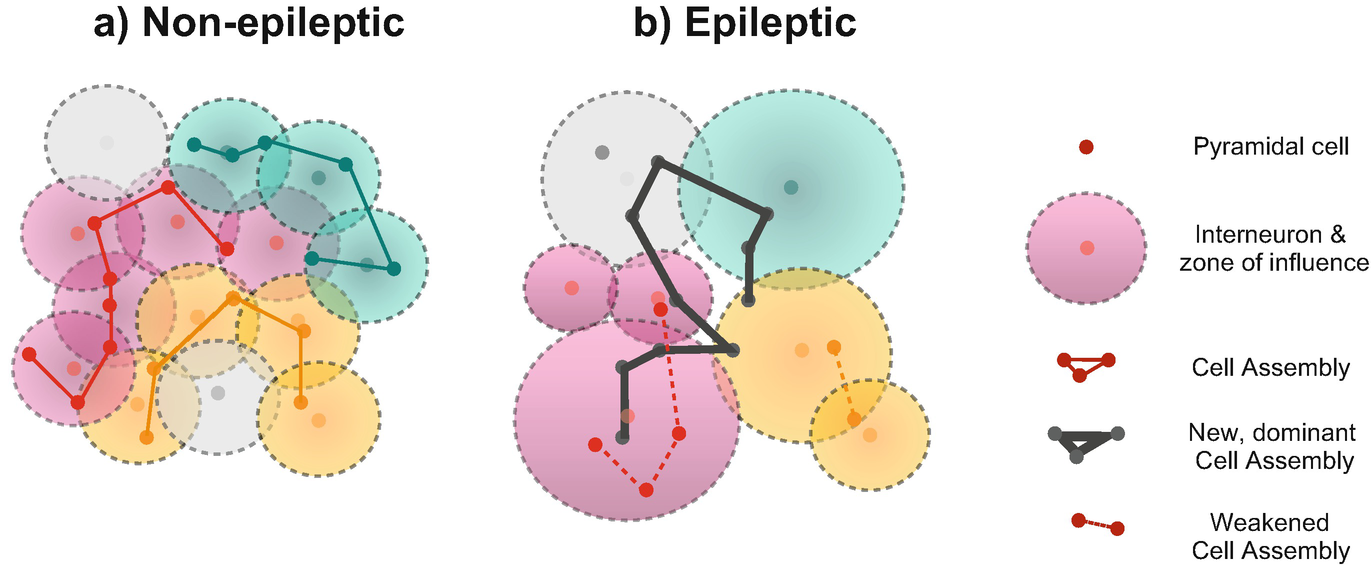 Alterations Of Neuronal Dynamics As A Mechanism For Cognitive Impairment In Epilepsy Springerlink