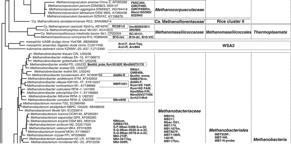 Primers: Functional Genes and 16S rRNA Genes for Methanogens | SpringerLink