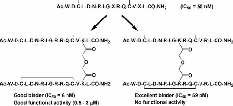 Discovery And Optimization Of A Trail R2 Agonist For Cancer Therapy Springerlink