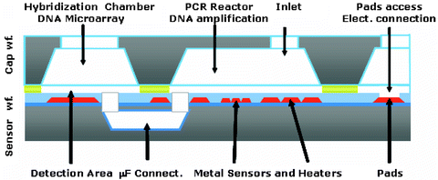 Biochips Springerlink