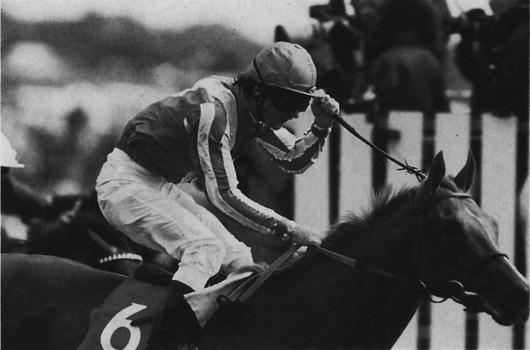 RACEHORSES /& JOCKEYS Collectors Card Set Nijinsky Dancing Brave Lester Piggott