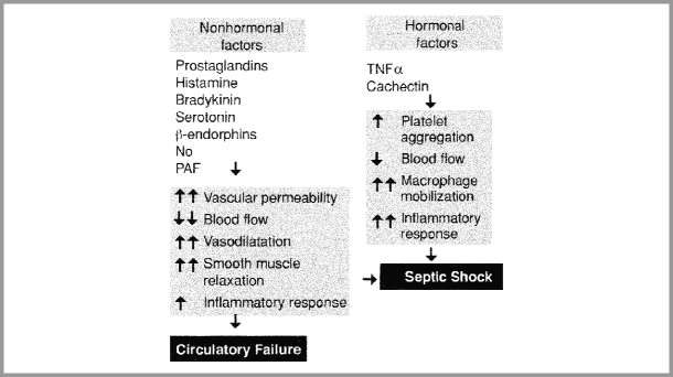 Circulatory Shock | SpringerLink Circulatory Shock | SpringerLink