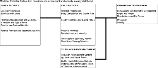 The Relationship Between Television Viewing And Overweight