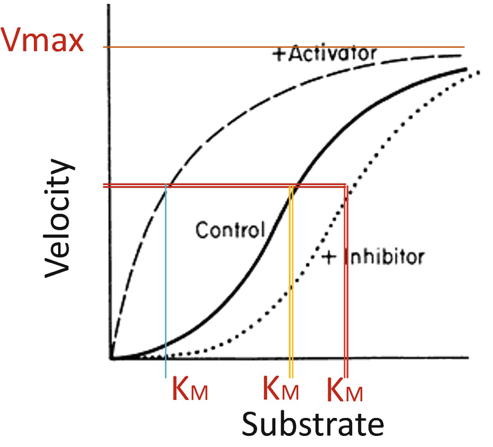 Determination Of Michaelis Menten Enzyme Kinetics Parameters Of Alkaline Phosphatase In Clinical Samples Springerlink Determination Of Michaelis Menten Enzyme Kinetics Parameters Of Alkaline Phosphatase In Clinical Samples Springerlink