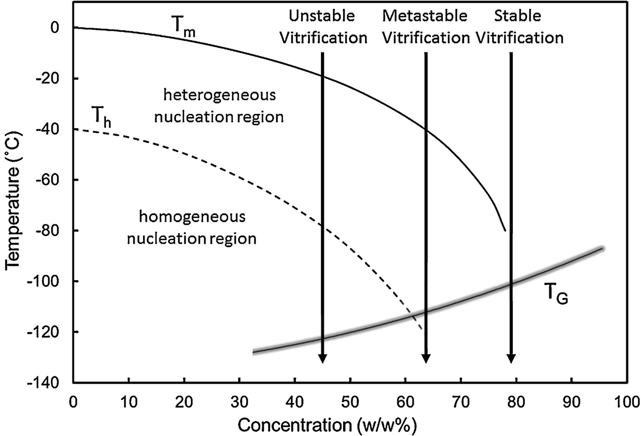 Principles Of Ice Free Cryopreservation By Vitrification Springerlink
