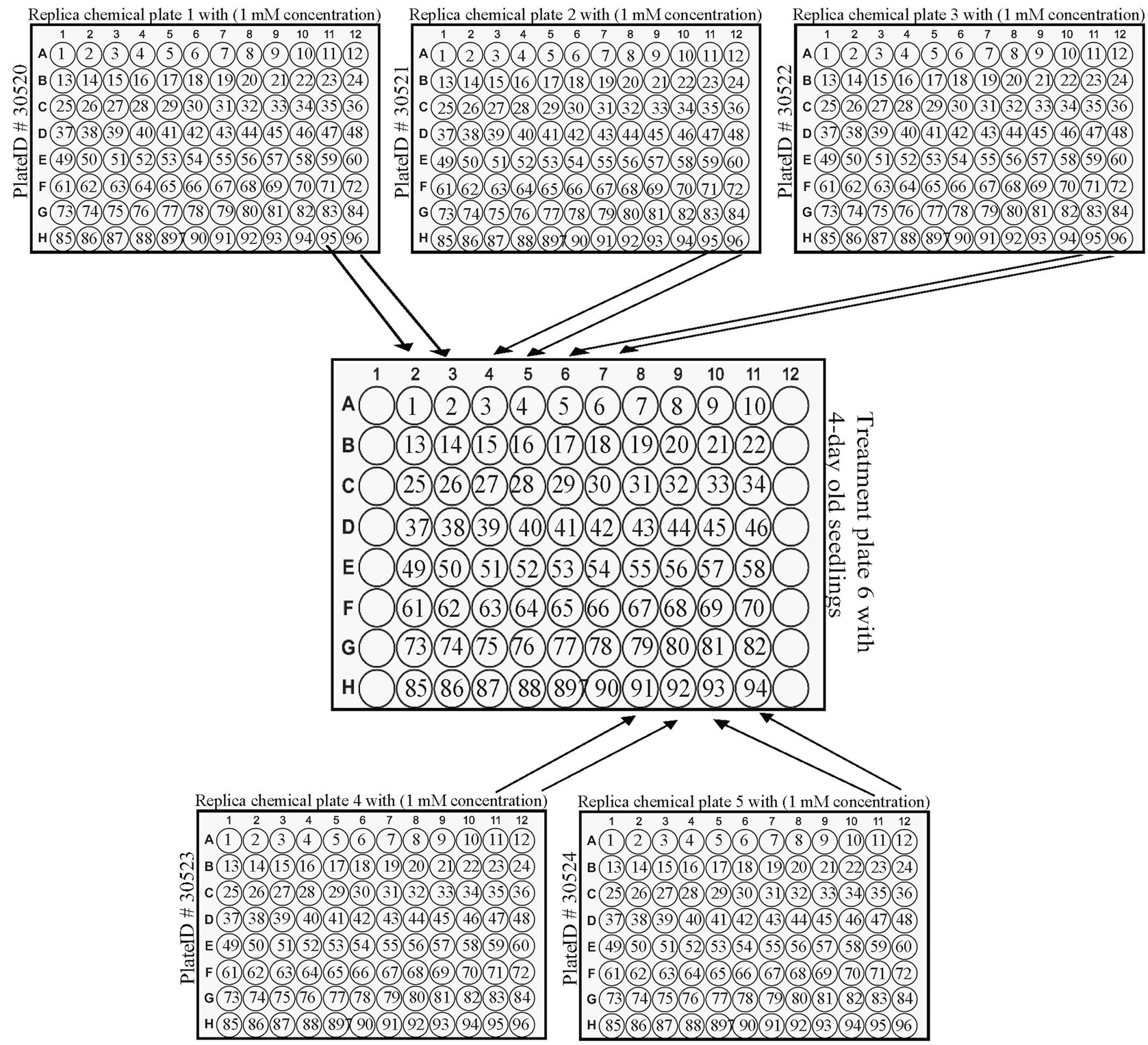 Chemical Genetics To Uncover Mechanisms Underlying Lipid Mediated Signaling Events In Plants Springerlink