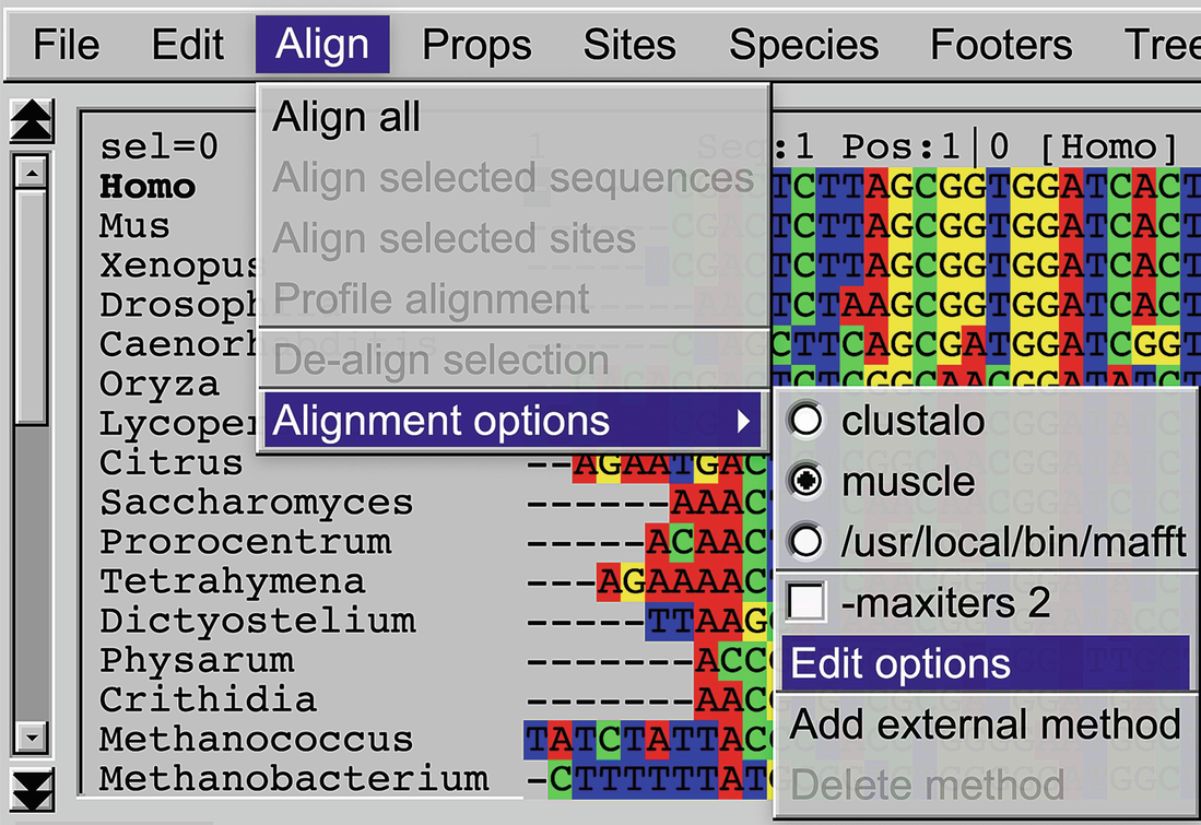 Seaview Version 5 A Multiplatform Software For Multiple Sequence Alignment Molecular Phylogeic Analyses And Tree Reconciliation Springerlink