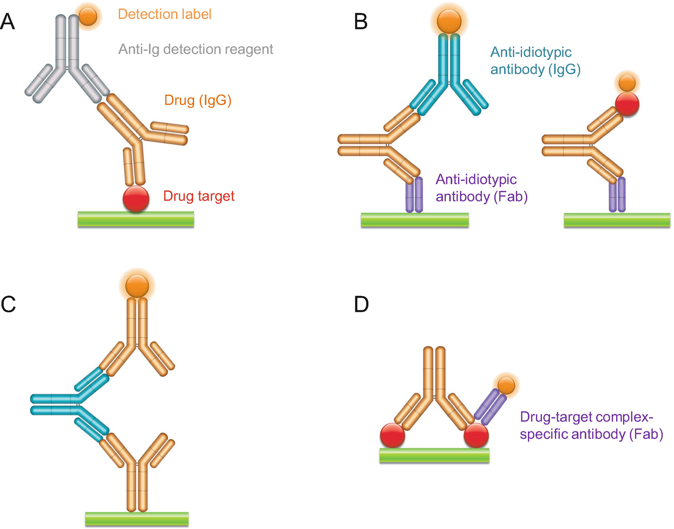 Recombinant Anti Idiotypic Antibodies In Ligand Binding Assays For Antibody Drug Development Springerlink