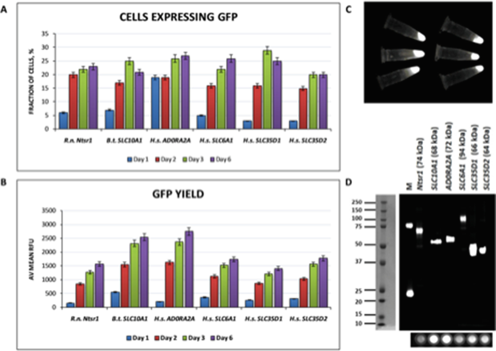 Transient Transfection And Expression Of Eukaryotic Membrane Proteins In Expi293f Cells And Their Screening On A Small Scale Application For Structural Studies Springerlink Transient Transfection And Expression Of Eukaryotic Membrane Proteins In Expi293f Cells And Their Screening On A Small Scale Application For Structural Studies Springerlink