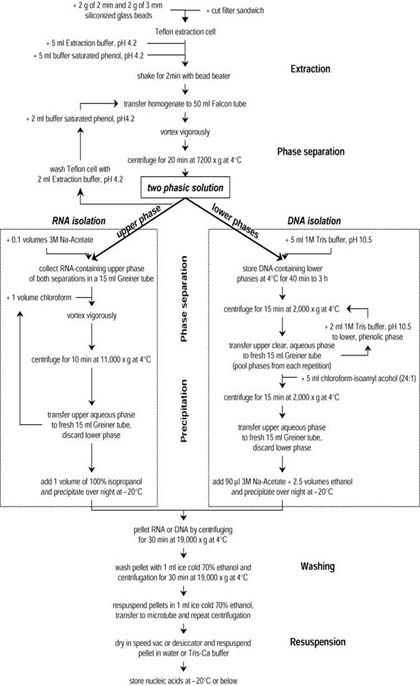 Section 1 Isolation Of Nucleic Acids Springerlink