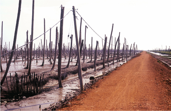 Malaysia u2013 Introduction  SpringerLink